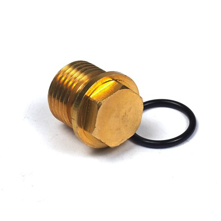 Briggs & Stratton Plug 201495GS